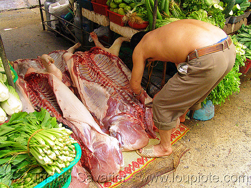 pig carcasses in market - meat - vietnam, butcher, carcasses, hanoi, man, meat market, meat shop, pigs, pork, raw meat, rib cage, ribs, spine, street market, street seller