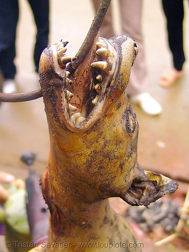 dog meat - singed - thịt ch&oacute; - vietnam
