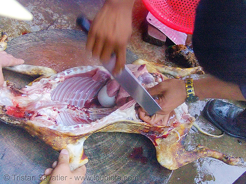 dog meat - eviscerating - thịt ch&oacute; - vietnam
