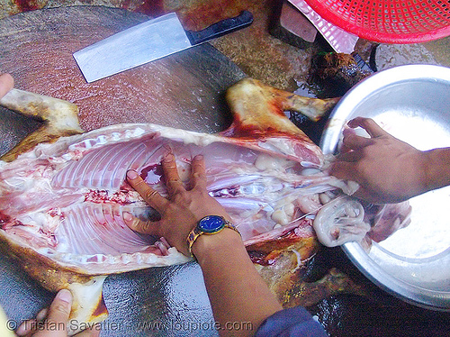 dog meat - eviscerating - thịt ch&oacute; - vietnam