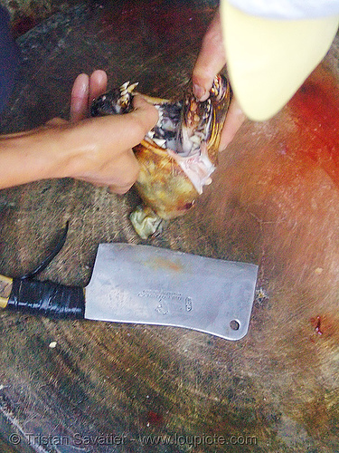 dog meat - cutting jaw off - thịt ch&oacute; - vietnam