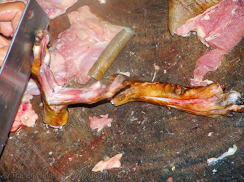 dog meat - split fingers from paws - thịt ch&oacute; - vietnam