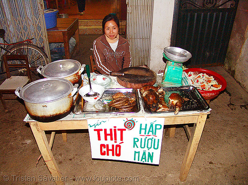 dog meat shop - thịt ch&oacute; - vietnam