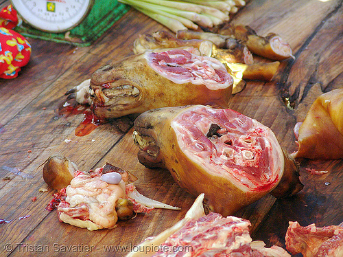 dog heads - dog meat shop