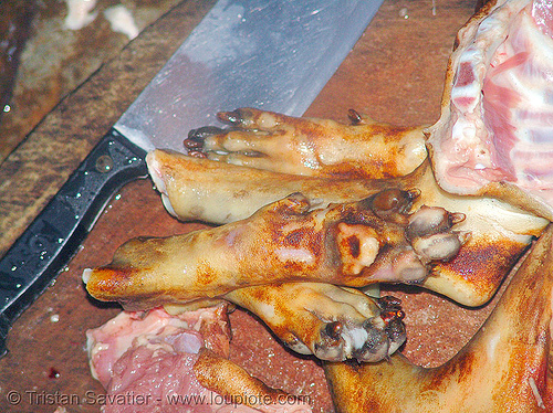 dog meat - paws - thịt chó - vietnam, butcher knife, carcass, cleaver, dead dog, dog meat, dog paws, food dog, raw meat