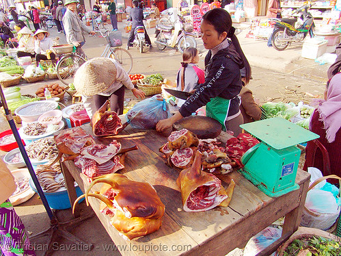 dog meat shop - thịt chó - vietnam, asian woman, asian women, butcher, carcass, dead dogs, dog meat, food dog, lang sơn, meat market, paws, raw meat, street market, street seller