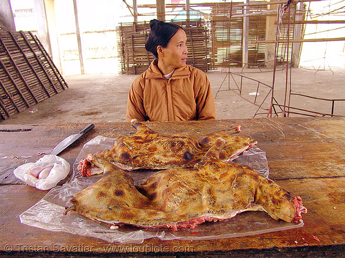 woman selling dog meat (vietnam), butcher, carcass, cooked dog, dog meat, food dog, meat market, raw meat, street seller