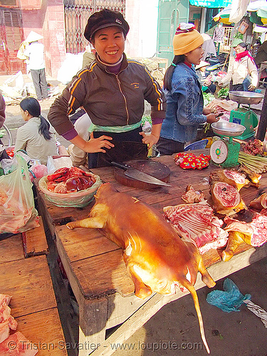 woman selling dog meat (vietnam), asian woman, butcher knife, carcass, dead dog, dog meat, dogs, food dog, lang sơn, meat market, raw meat, street market, street seller, tail, women