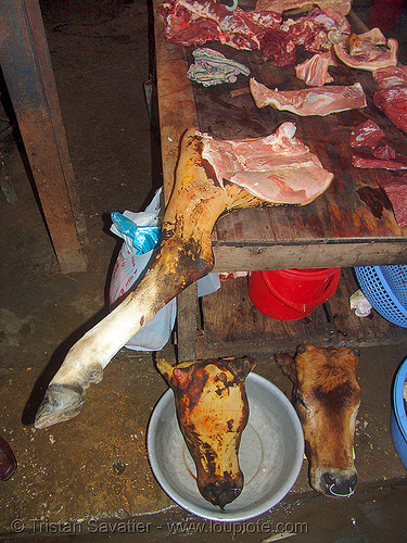beef - meat market - vietnam, beef, cow, head, leg, meat market, meat shop, raw meat, steaks