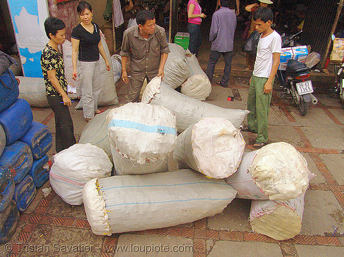 cinnamon bulk bags - vietnam, bags, bulk, chợ đồng xuân, cinnamon, dong xuan market, hanoi