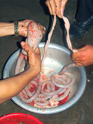 dog meat - stuffing the intestin to make sausages. or should we say, "hot dogs" - thịt chó - vietnam, butcher, dog blood sausage, food dog, guts, hot dogs, intestine, raw meat, sausages, stuffing, vietnam