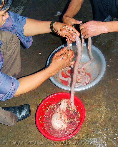dog meat - stuffing the intestine to make sausages. or should we say, "hot dogs" - thịt chó - vietnam, butcher, dog blood sausage, dog meat, food dog, guts, hot dogs, intestine, raw meat, sausages, stuffing