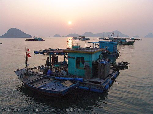 floating houses - vietnam, boat, cat ba island, cát bà, floating homes, floating houses, floating village, halong bay, sea