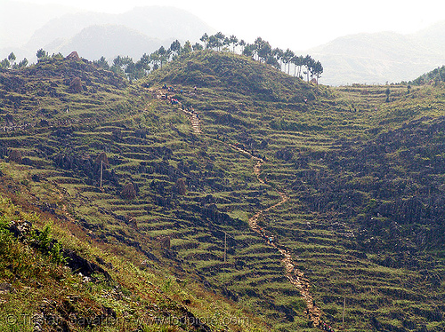 foot trail near mèo vac - vietnam, landscape, mèo vạc, terrace farming, terraced fields