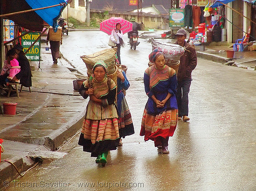 hmong women carrying large bags - vietnam, colorful, flower h'mong tribe, flower hmong, hill tribes, indigenous