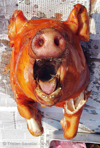 roasted piglet snout - vietnam, cooked, food, lang sơn, meat, mouth, pig head, pig nose, pig snout, pork, roasted pig, roasted piglet