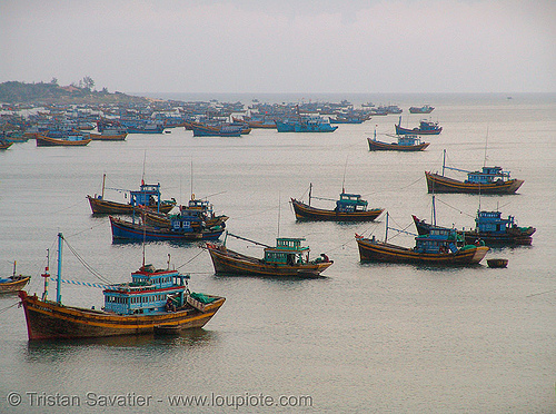 trawlers - moored fishing boats - vietnam, colorful, fishing boats, fishing trawlers, moored, mooring, mui ne, sea