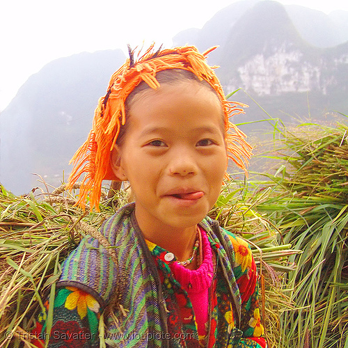 tribe girl carrying grass - vietnam, child, colorful, hill tribes, indigenous, kid, little girl