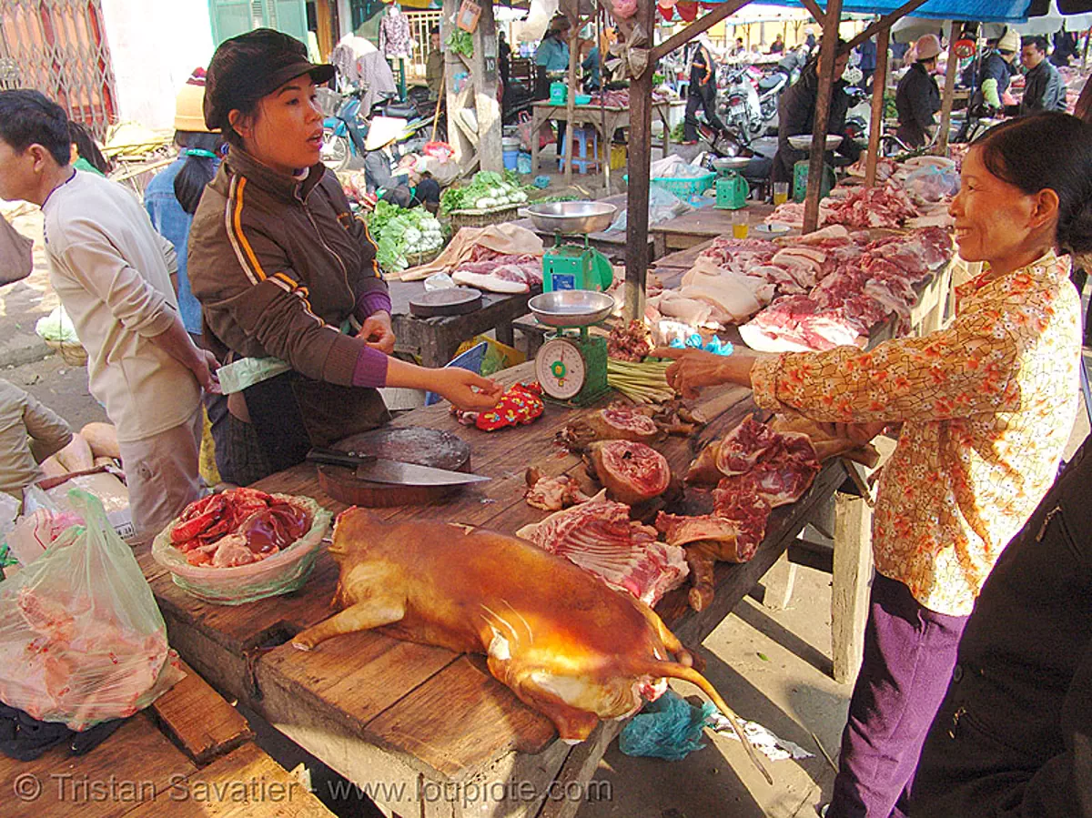 dog meat shop, vietnam