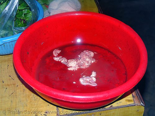 dog brain in its blood - thịt chó - vietnam, blood, brain, butcher, dog meat, food dog, raw meat, red