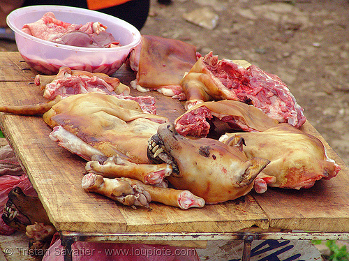 dog by the pound - meat shop, butcher, cao bằng, carcass, dead dog, dog head, dogs, food dog, meat market, paws, vietnam