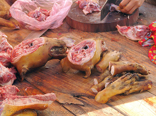 dog heads and paws - dog meat shop, butcher, carcass, dead dogs, dog heads, food dog, head, lang sơn, meat market, paws, raw meat, street market, vietnam