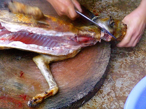 dog meat - cutting off head, butcher knife, carcass, cleaver, cut, cutting, dead dog, dog head, food dog, meat, severed head, vietnam