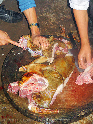 dog meat - cutting-up the carcass - thịt chó - vietnam, butcher, carcass, dead dog, deboning, food dog, raw meat, vietnam