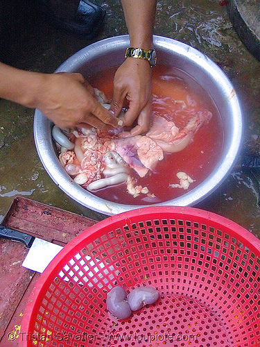 dog meat - cutting-up - sorting organs - thịt chó - vietnam, butcher, carcass, dead dog, food dog, guts, kidneys, raw meat, red