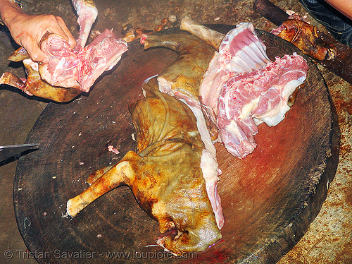 dog meat - cutting-up the carcass - thịt chó - vietnam, butcher, carcass, dead dog, deboning, food dog, raw meat