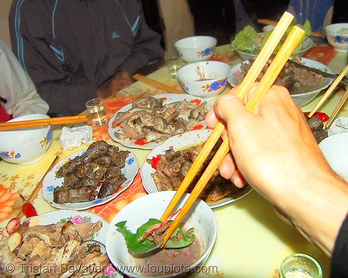 dog meat dishes - dinner - dipping a bit in sauce - thịt chó - vietnam, chopsticks, cooked, dinner, dipping, dish, dog meat, food dog