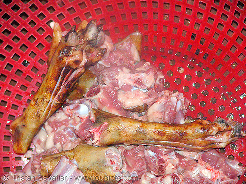 dog meat - leg bits and paws - thịt chó - vietnam, butcher, carcass, dead dog, dog paws, food dog, raw meat