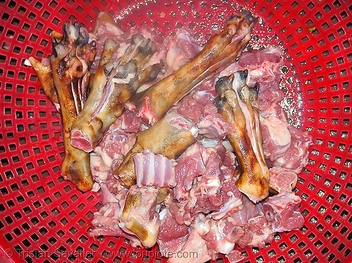 dog meat - leg bits and paws - thịt chó - vietnam, butcher, carcass, dead dog, dog paws, food dog, raw meat, vietnam