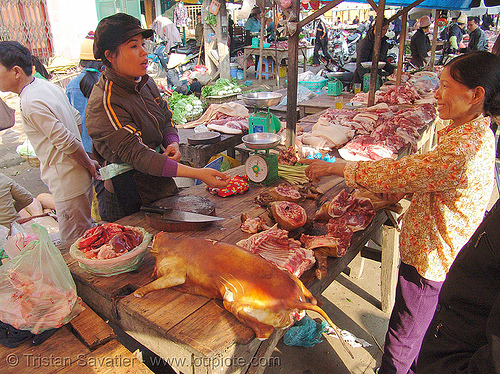 dog meat shop - vietnam, butcher, carcass, dead dog, dog meat, dogs, food dog, lang sơn, raw meat, street market, street seller