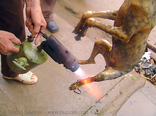 dog meat - singeing, blowtorch, burned, burning, butcher, carcass, dead dog, dog meat, dog paws, fire, food dog, grilled, roasted, singeing