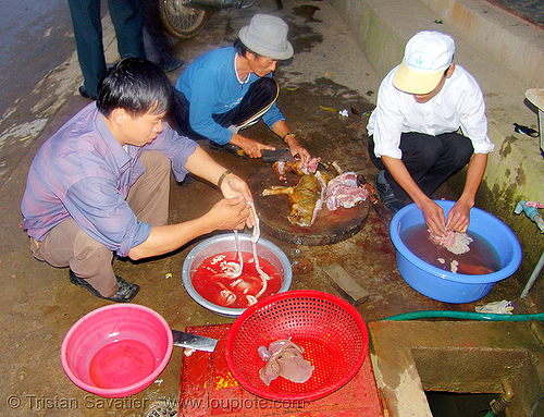 dog meat - sorting and cleaning  bodyparts and organs - thịt chó - vietnam, butcher, carcass, food dog, raw meat