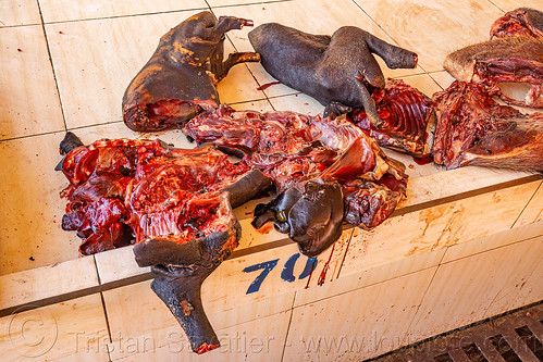dog pieces sold at dog meat market, carcass, dead dog, dog meat, food dog, manado, meat market, raw meat